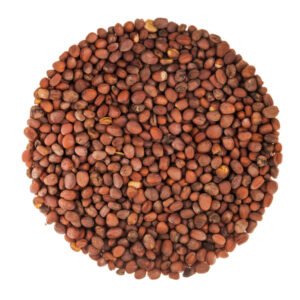 Organic Alfalfa Seeds